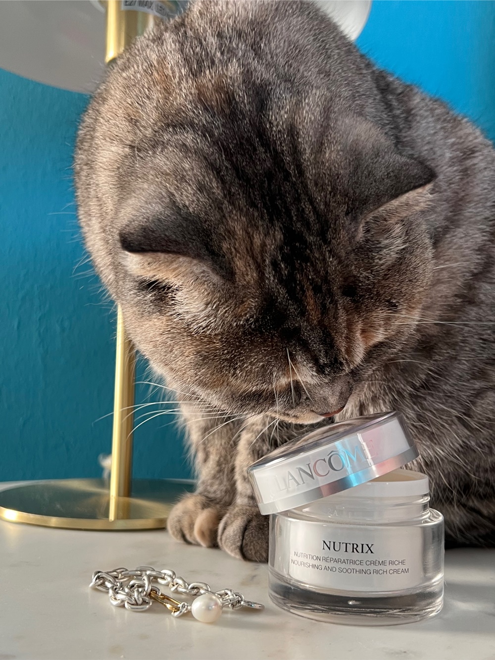 glamupyourlifestyle gute-Gesichtscreme trockene-Haut Lancome
Katze